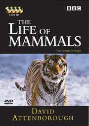 Preview Image for Life of Mammals, The (UK)
