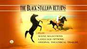 Preview Image for Screenshot from Black Stallion Returns, The