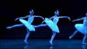 Preview Image for Screenshot from Tchaikovsky: Swan Lake