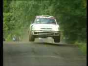 Preview Image for Image for World Rally Championship 1990-99