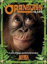 Preview Image for Animal Planet's Orangutan Island