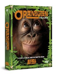Preview Image for Orangutan Island