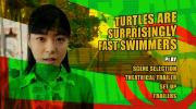 Preview Image for Image for Turtles Are Surprisingly Fast Swimmers