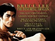 Preview Image for Image for Bruce Lee: The Immortal Dragon