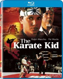 Preview Image for Image for The Karate Kid 2