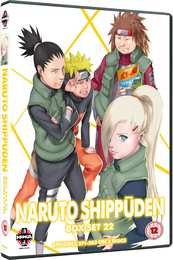 Preview Image for Naruto Shippuden: Box Set 22 (2 Discs)