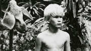 Preview Image for Image for Lord of the Flies