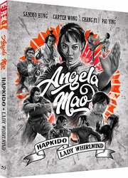 Preview Image for Image for Angela Mao: Hapkido & Lady Whirlwind